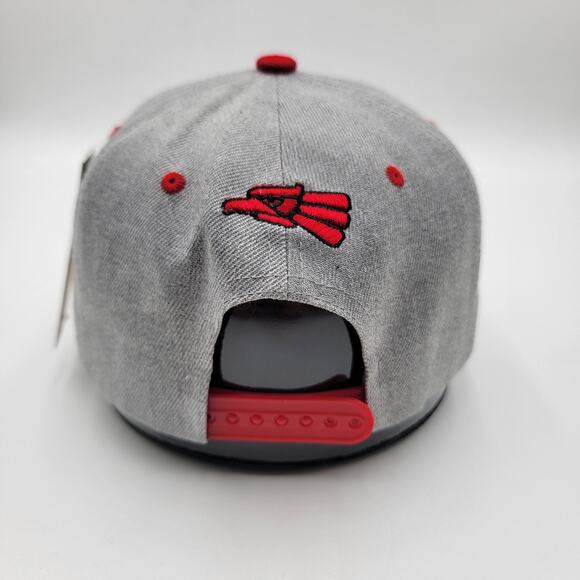 Hecho en Mexico Hat Cap Snap Back Gray Red Embroidered Patch Mens Mexican Pride - Picture 3 of 7